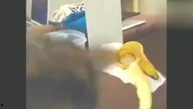 国产啪啪视频大香蕉,揭秘国内成人影视产业现状