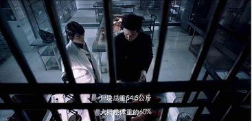 国产剧精彩打斗视频在线观看,热血激战！国产剧精彩打斗片段在线盛宴