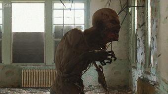 国产丧尸短视频在线观看,国产短视频带你领略末世求生记