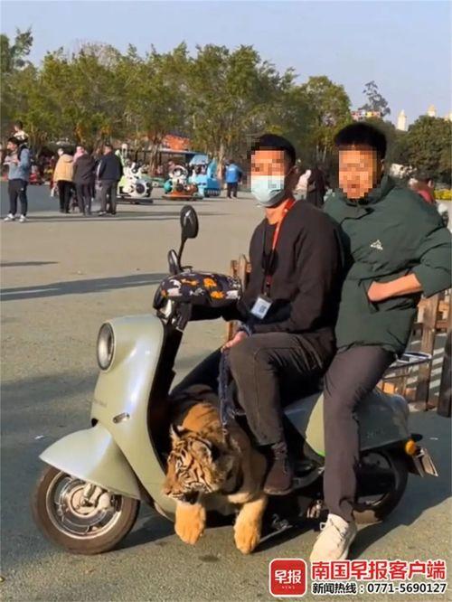 国产电驴改装视频播放大全,视频大全带你领略创意无限