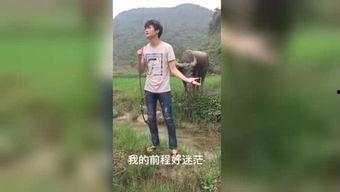 国产福利在线视频色欲,揭秘色欲背后的真实世界